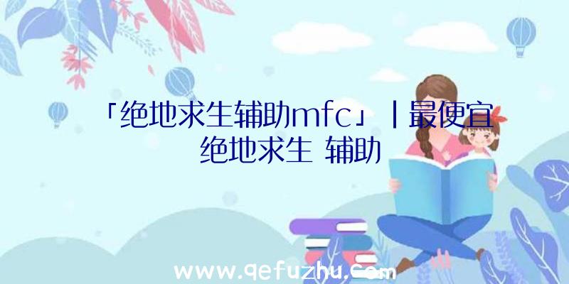 「绝地求生辅助mfc」|最便宜